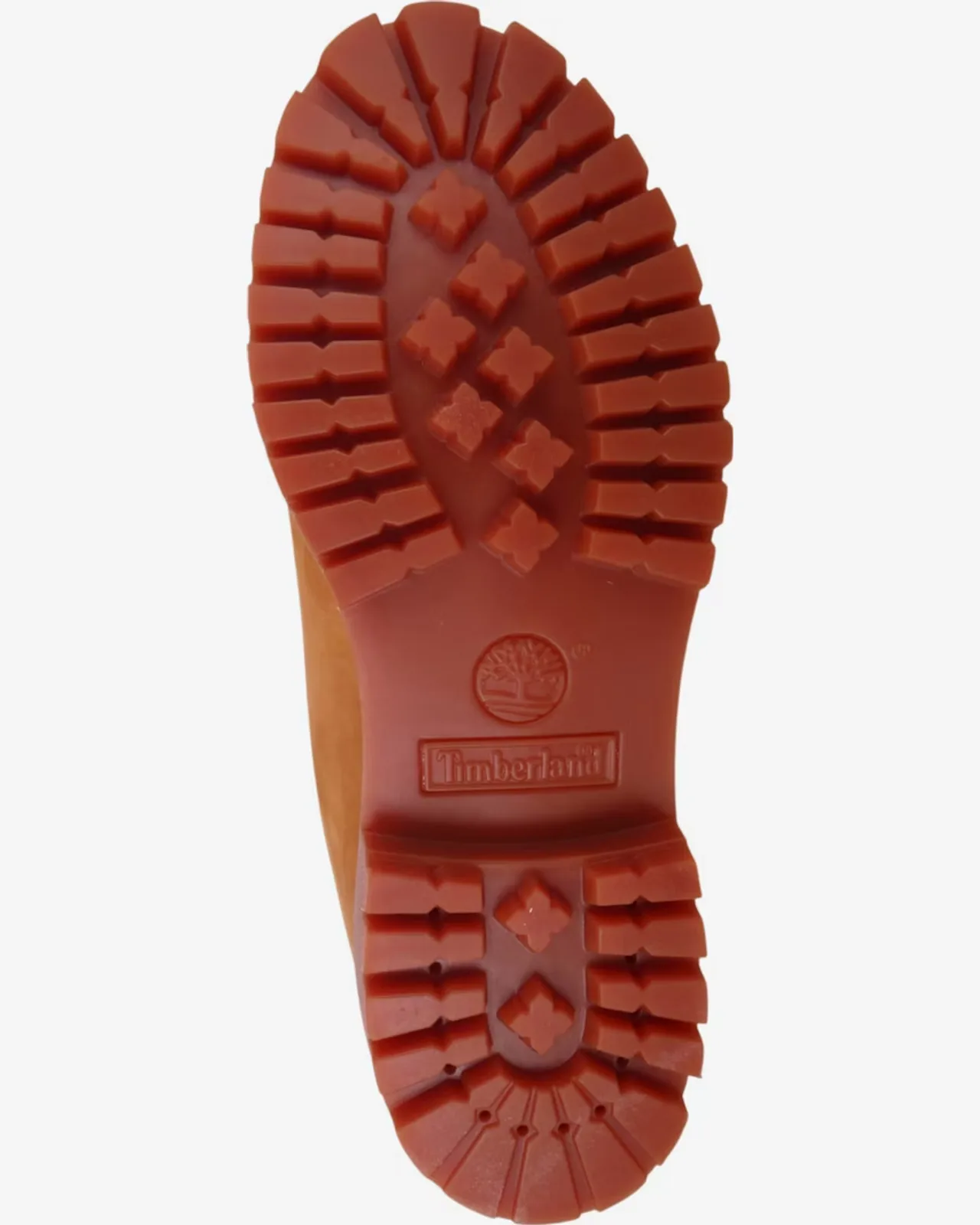 Timberland Botas com atacadores '6-inch Premium' em Sépia Sépia, foto 2