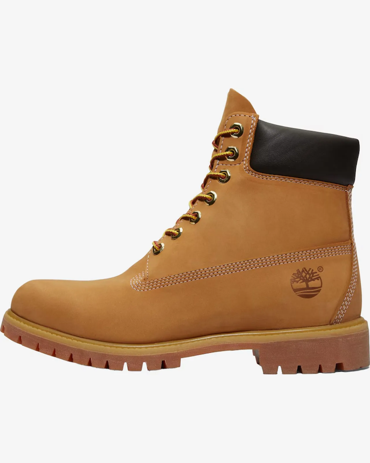 Timberland Botas com atacadores '6-inch Premium' em Sépia Sépia numa prateleira iluminada